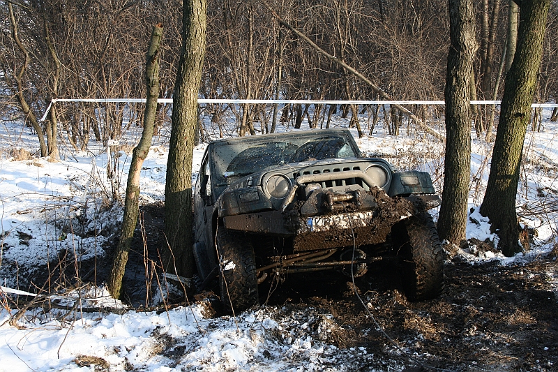WOSP_Pasternik_2009 217